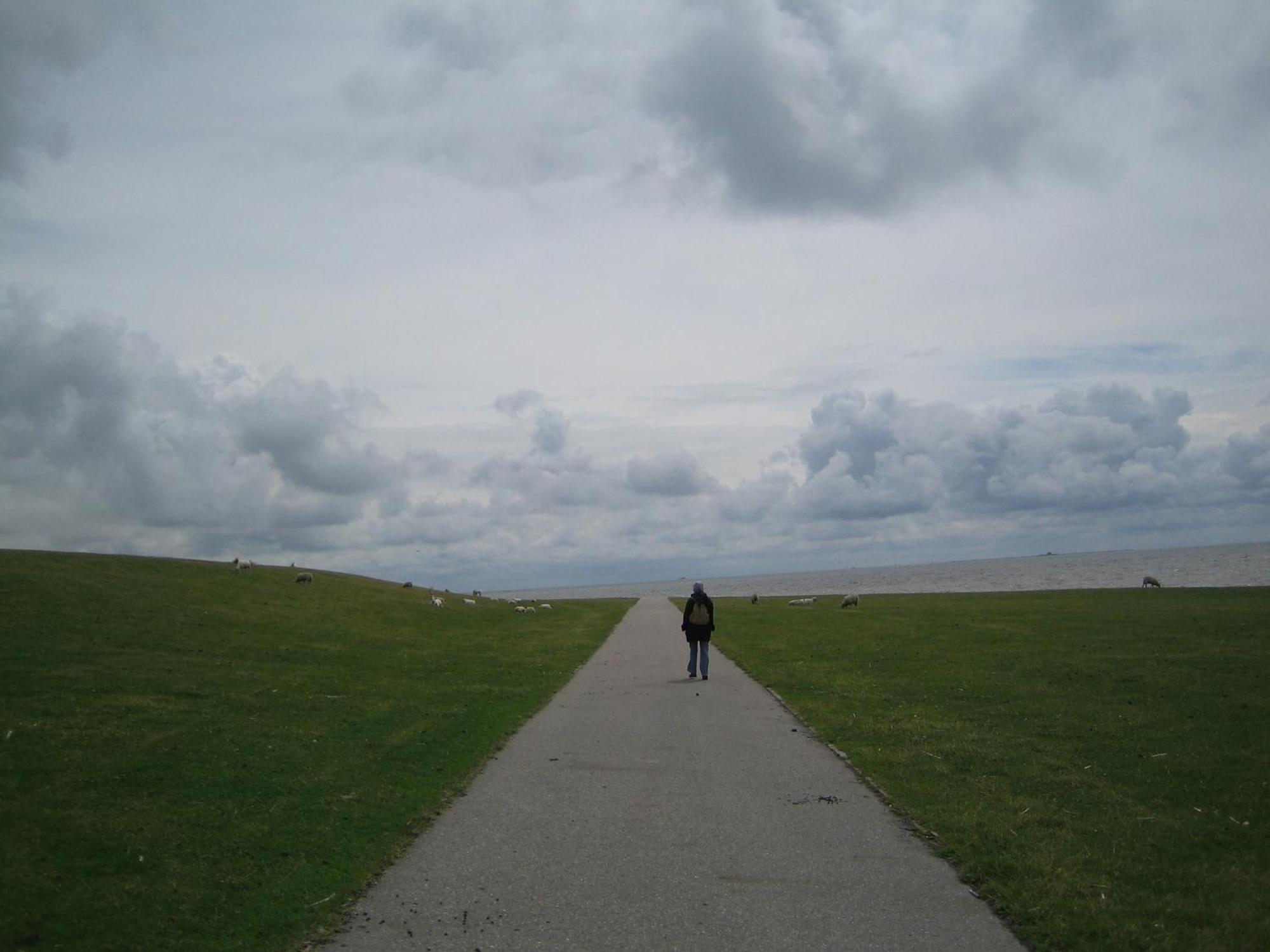 Friesenhaus Am Meer Dagebüll エクステリア 写真