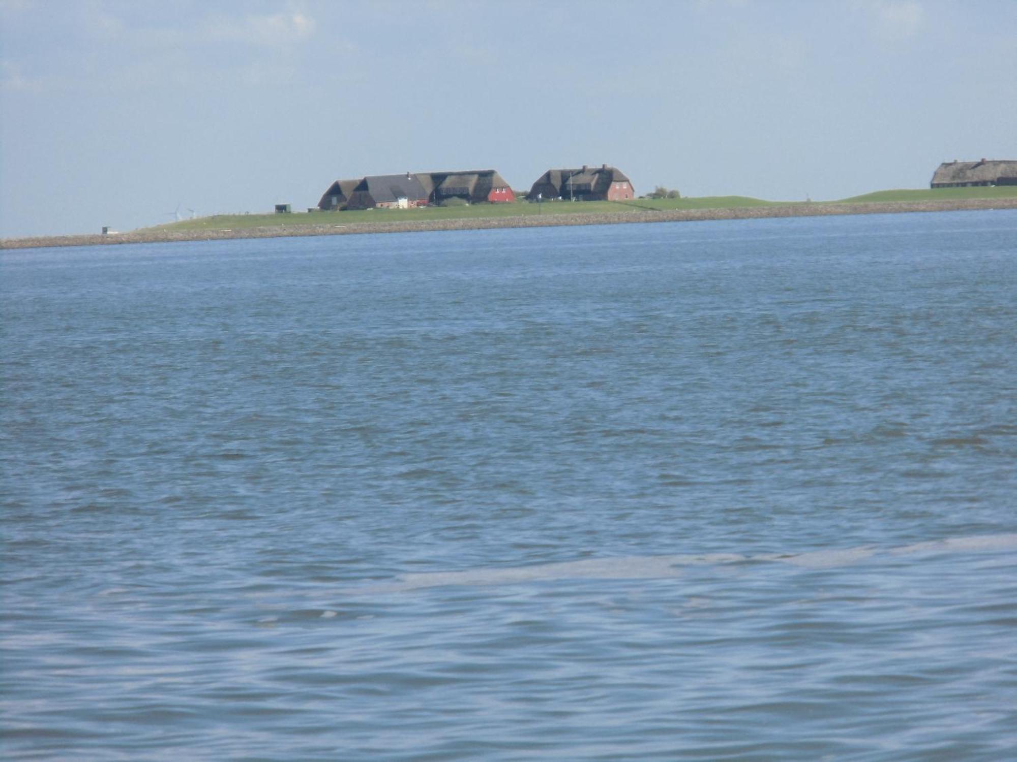 Friesenhaus Am Meer Dagebüll エクステリア 写真