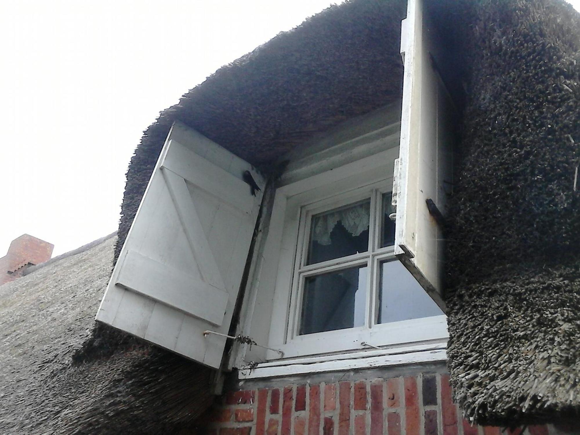 Friesenhaus Am Meer Dagebüll エクステリア 写真